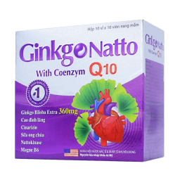 Препарат для улучшения мозговой деятельности и памяти Ginkgo Natto with Q10, 100 капсул